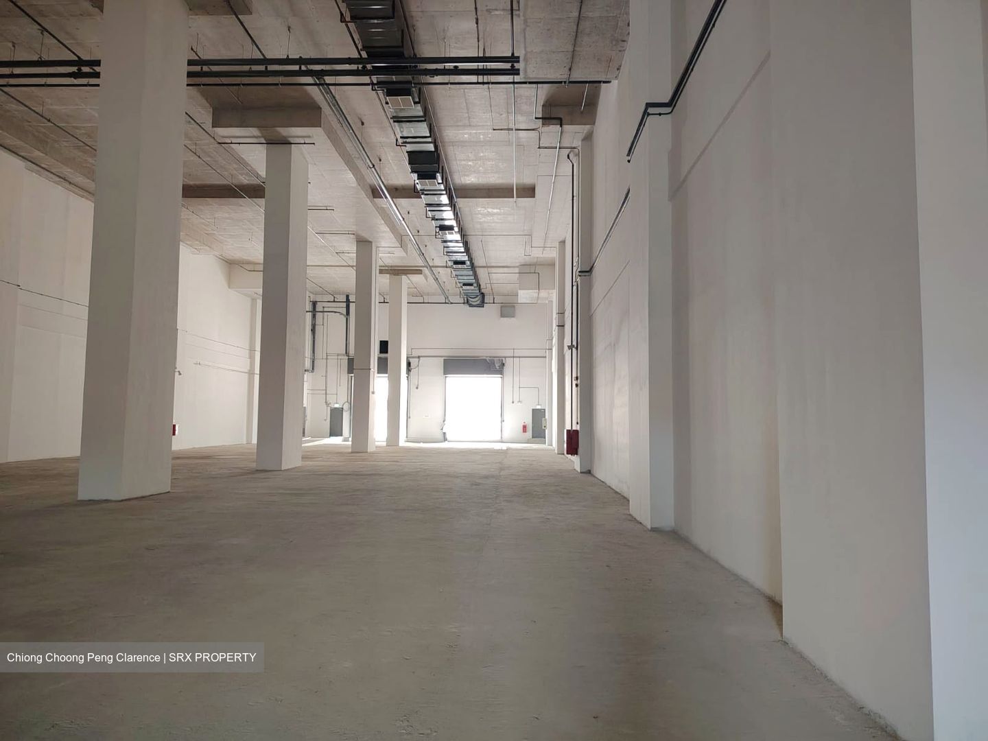 FOOD ASCENT (D22), Warehouse #522886611